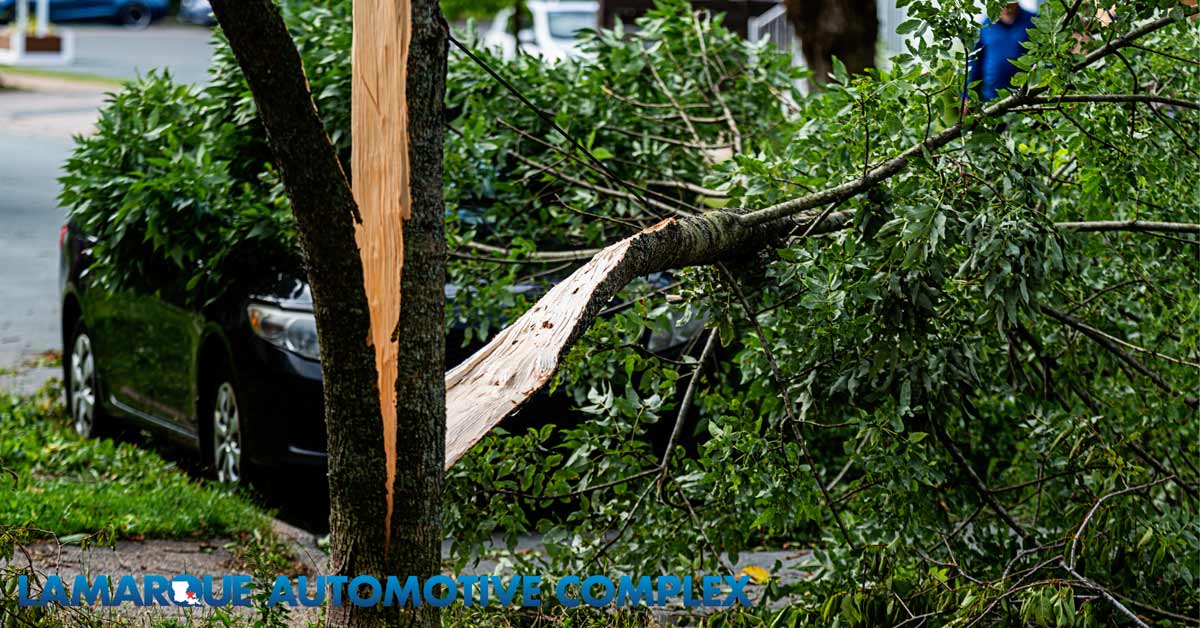 hurricane damage
